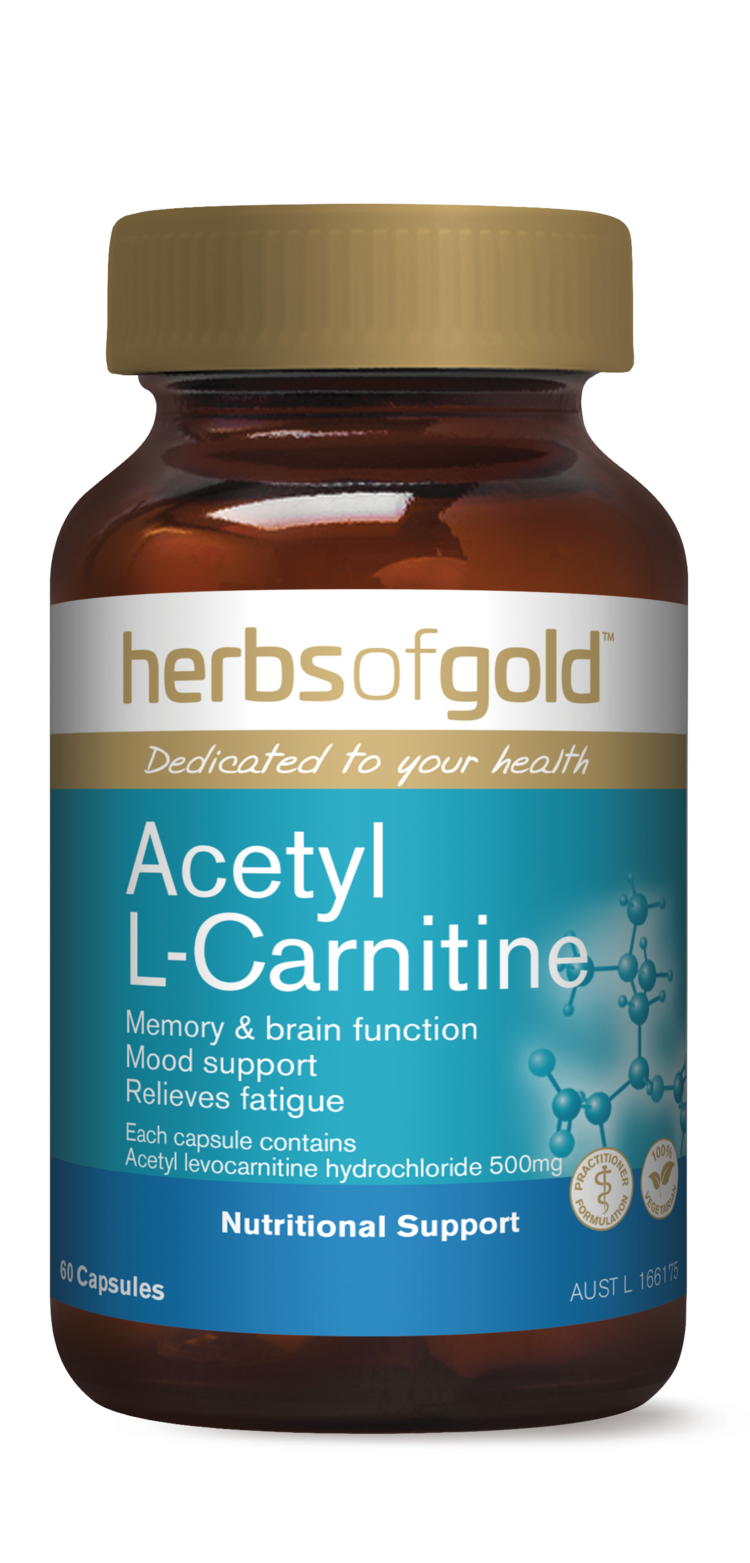 อาหารเสริมบำรุงสมอง วัยทำงาน Herbs of Gold Acetyl-L-Carnitine